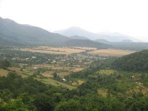 IMG_7236