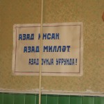 IMG_7245 IMG_7245