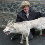 IMG_7265 IMG_7265